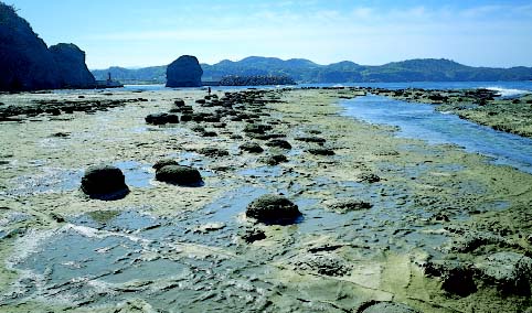 石見畳ヶ浦