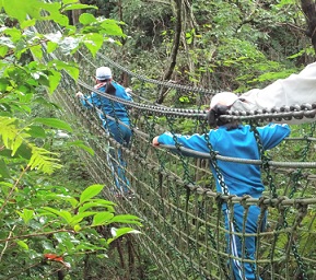 冒険の森２　一本吊り橋を渡っています