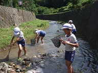 内田川で生物を探す子供たち１　網を手に持っています
