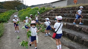 周布川沿いの土手で、みつけた葉っぱを手にした子どもたち。