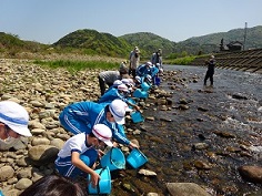 河川敷でサケの稚魚を放流する子どもたち。