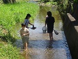 網を手に持ち、内田川の中を歩く子どもたち