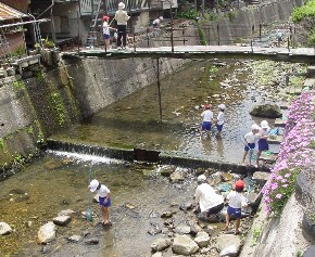 旭町の川