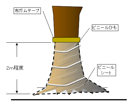 ビニールシート被覆法