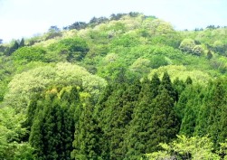 雲月かんな跡