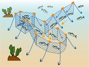 定置網漁業