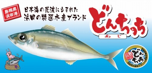 どんちっちアジ 浜田市