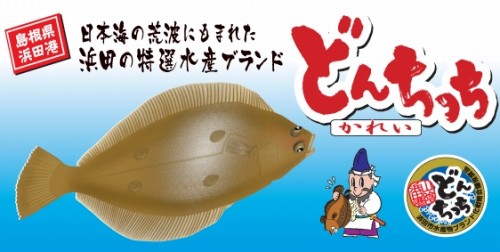 どんちっちカレイ