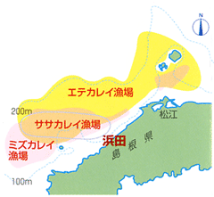 主なカレイ漁場