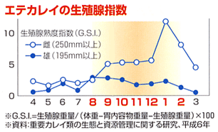 エテカレイの生殖腺指数