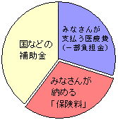 年間の医療費グラフ