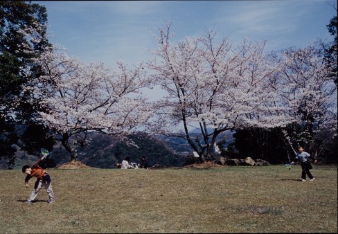 春を楽しむ