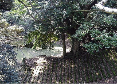 浜田城の石段