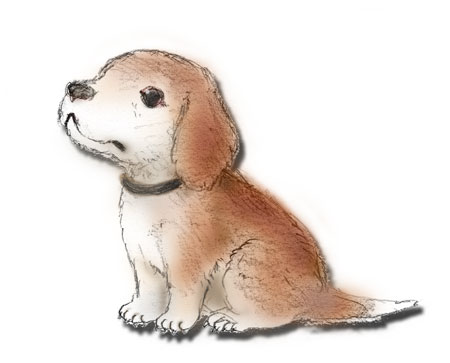 犬のイラスト