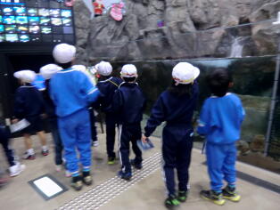 水族館アクアスでの交流1