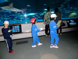 水族館アクアスでの交流2