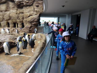 水族館アクアスでの交流3