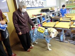 盲導犬と目の不自由な方との交流会1