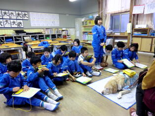 盲導犬と目の不自由な方との交流会4