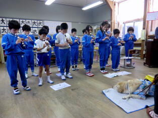 盲導犬と目の不自由な方との交流会6