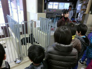 盲導犬訓練センター見学の写真