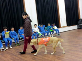 盲導犬訓練センター見学の写真