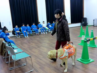 盲導犬訓練センター見学の写真