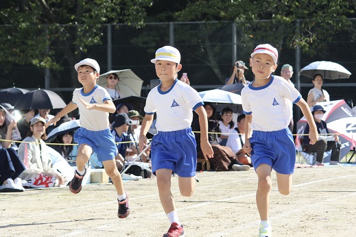 u11