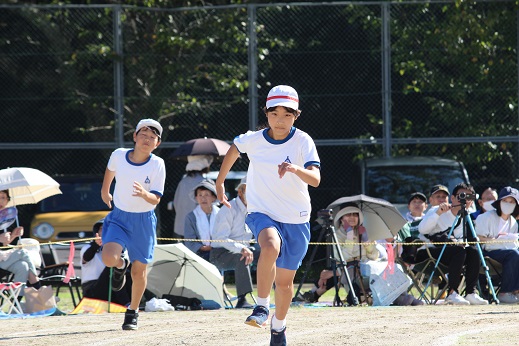u12