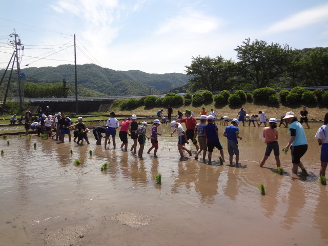 田植え２