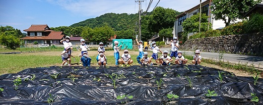 苗を植えた畑を前にして集合写真