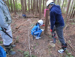 木をのこぎりで切っているところです。