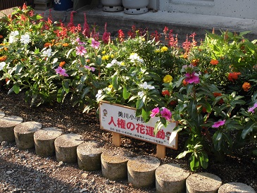 人権の花が咲いています