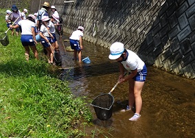 川の水に入りながら、網ですくっています。