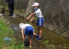 網を手に持ち、生き物を探しています。