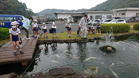 地下水を使った池の前でコイを見つめる子どもたち