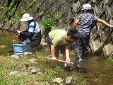 網を手に持ち，川底の水生生物を探しています