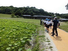 荒神谷史跡公園内の古代ハス池の前で