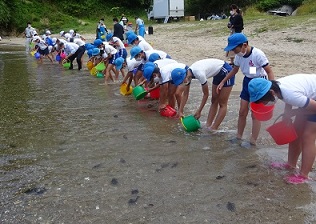 砂浜に一列に並び、バケツに入れたヒラメの稚魚を放流しています