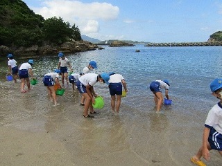 放流した稚魚を沖のほうへ誘導しています