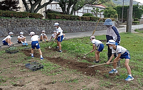 鍬を持って畑を耕す3年生