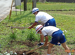 鍬を持って、畑を耕す3年生