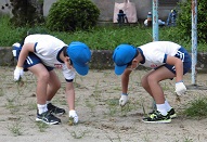 二人の児童が膝や腰をかがめて草を抜いています