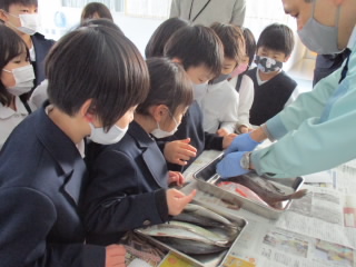 触る体験