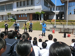 6