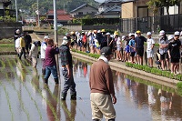 田植え01