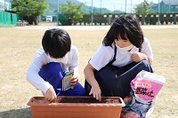 人権の花03