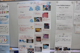 作品